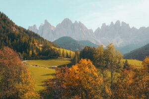 Natures 01 300x200